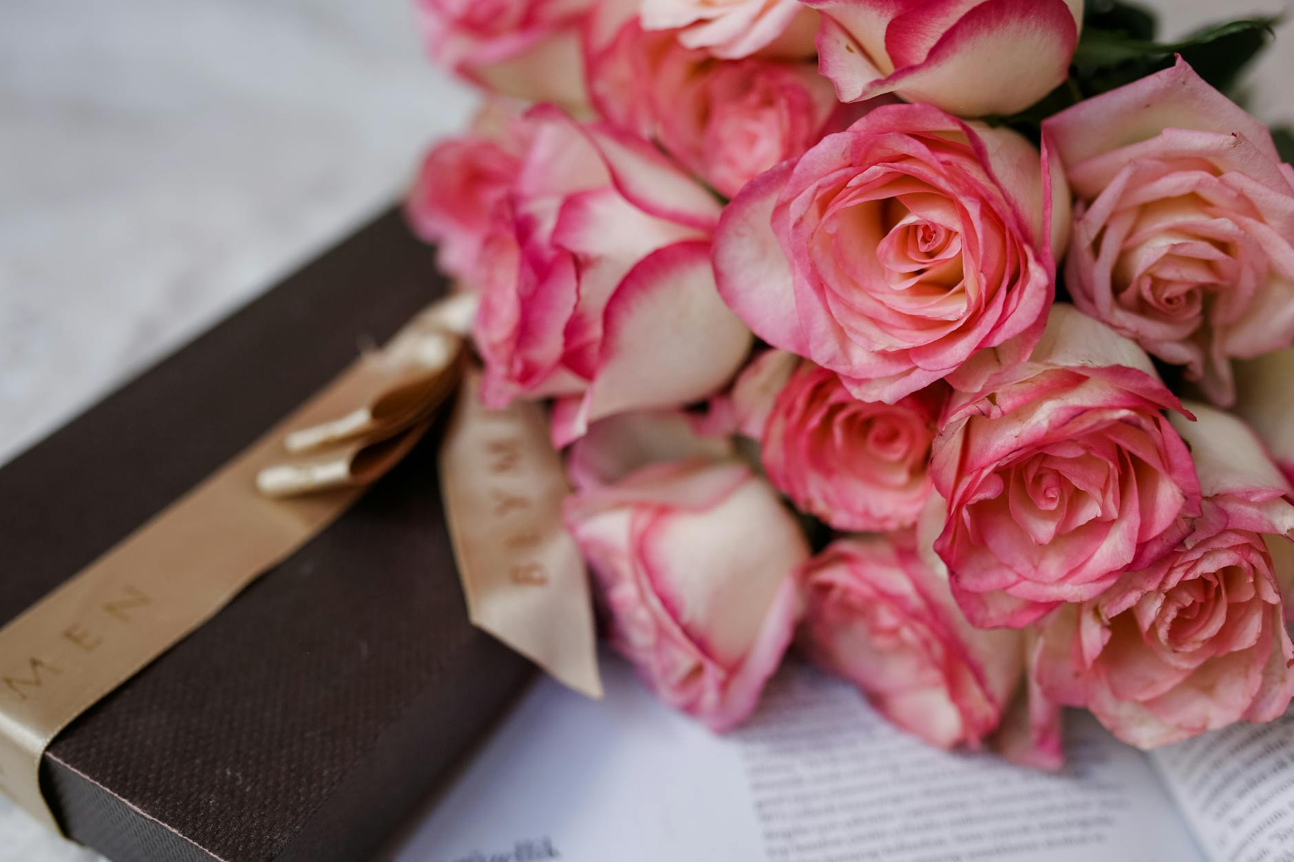 Sugar and Spice Book Launch at Printed Garden